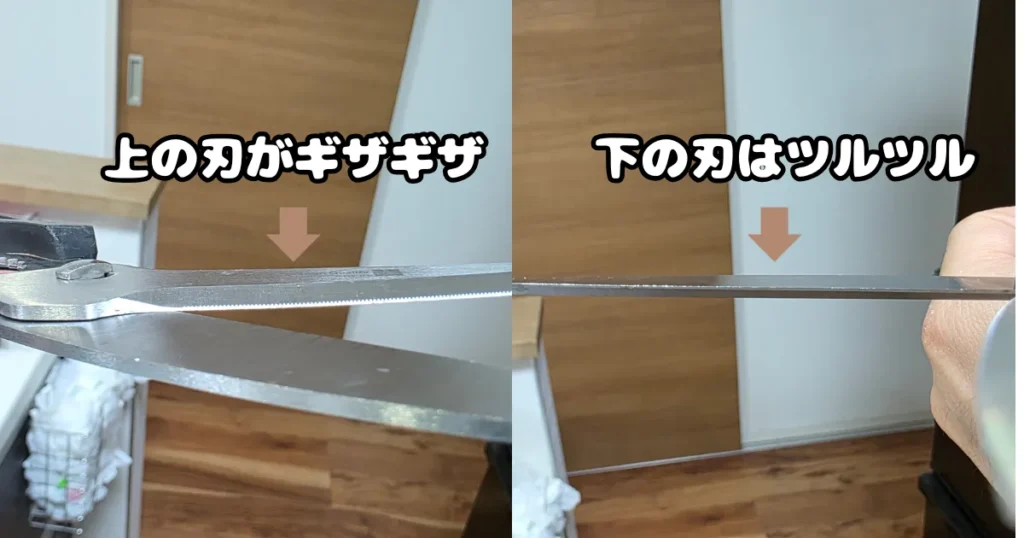 上の刃がギザギザで下の刃がツルツルになっている、キッチンバサミ。