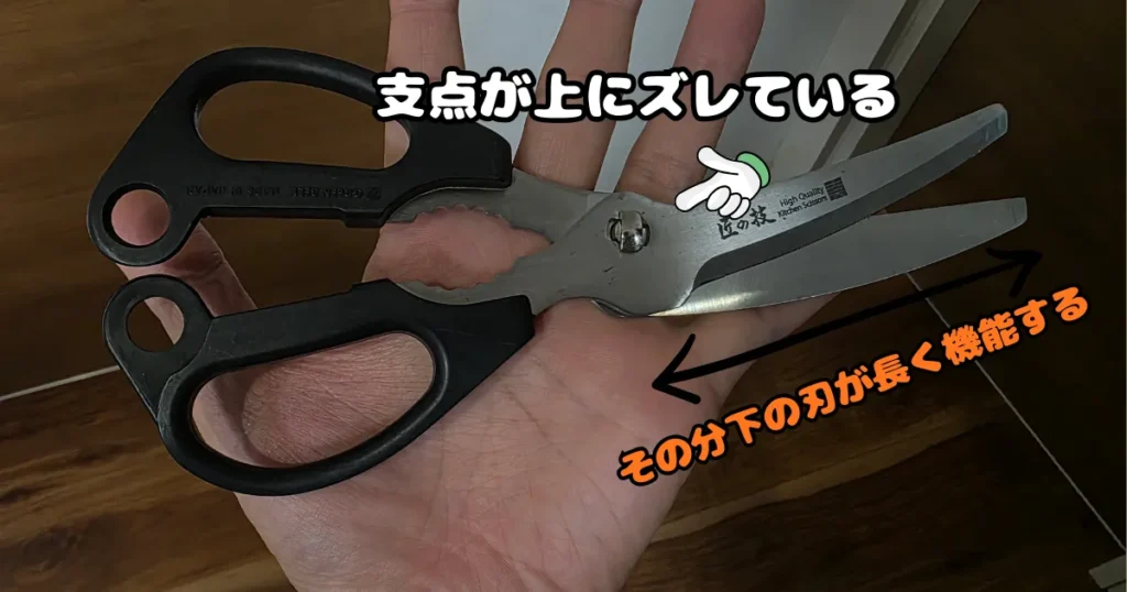 支点が上にズレているため下の刃を長く使える、引き切り構造のキッチンバサミ。
