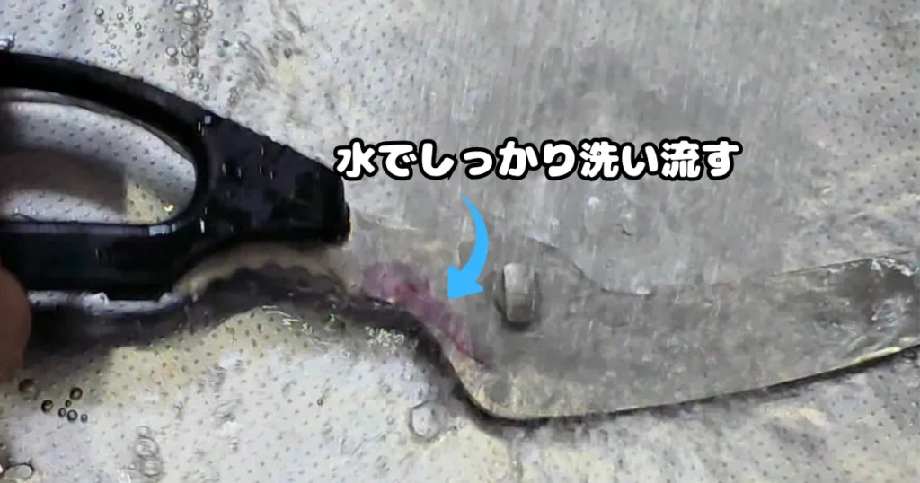 紫色に変色したサビ取りジェルを水でしっかり洗い流す、キッチンバサミ。