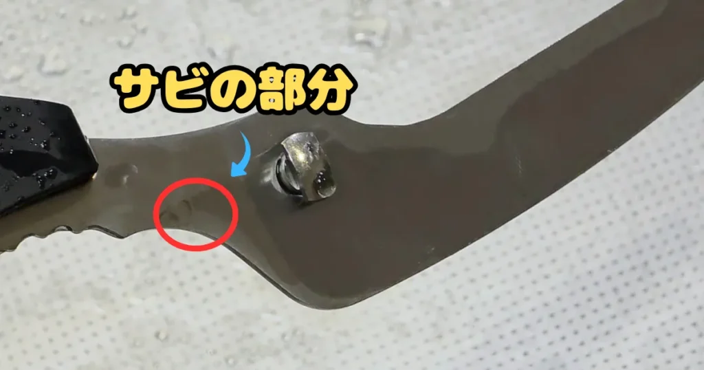 結合部付近にできたサビの部分を示す、キッチンバサミの刃。