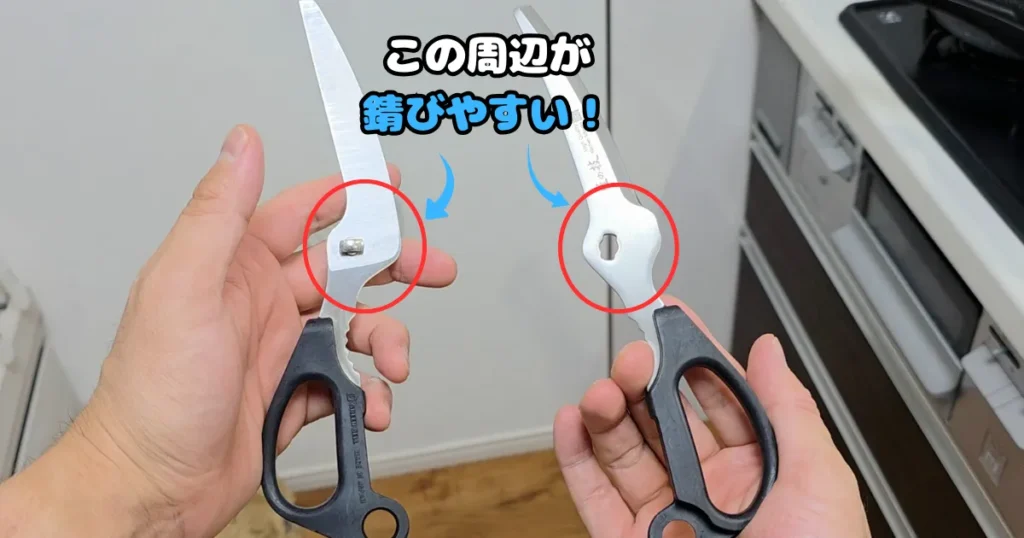 結合部周辺が錆びやすい、分解したキッチンバサミ。
