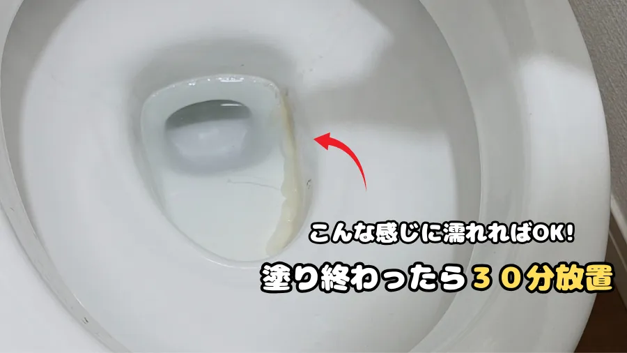スカッと尿石取りジェル,30分放置