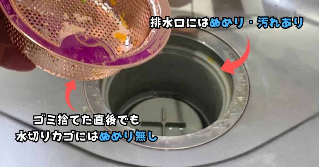 食材くずを捨てた直後の銅製カゴと排水口。カゴ本体にぬめりはないが、パンチング穴をすり抜けた細かい汚れによって下の配管部分に黄色いぬめりが発生している。