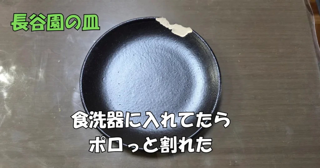 食洗機に入れてしまい割れてしまった長谷園の黒い皿